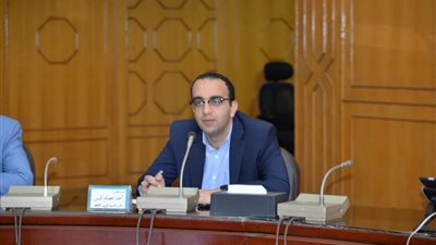 نائب محافظ الإسماعيلية يتابع جهود الوحدات المحلية لمكافحة الحشرات 