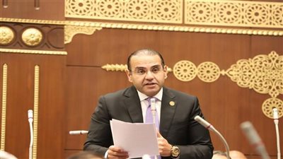 صناعة الشيوخ: المجموعة الوزارية للتنمية الاقتصادية قادرة على مواجهة مشكلات الصناعة