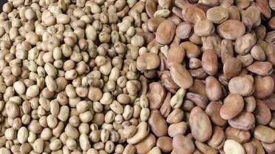 ارتفاع أسعار الفول اليوم الأحد لدى تاجر الجملة والأسواق المحلية