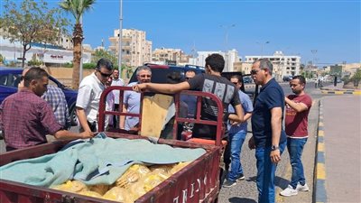 حفاظاً على المظهر الحضاري.. محافظ البحر الأحمر يسحب رخص 6 تروسيكلات 