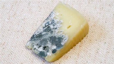 هل من الآمن تناول الجبن بعد تعفنه؟