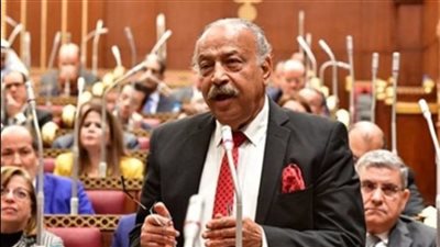 هاني العسال: إحياء الصناعة الوطنية وراء نجاح برنامج الحكومة