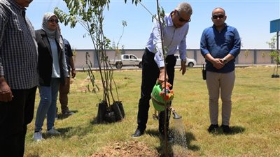 محافظ أسوان يقوم بزراعة مجموعة من أشجار الظل والمثمرة بكوم أمبو