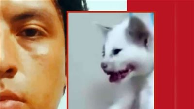 أبو نوح لازم يتحاكم.. سفاح القطط يثير غضب المواطنين| حقيقة انتمائه للدارك ويب 