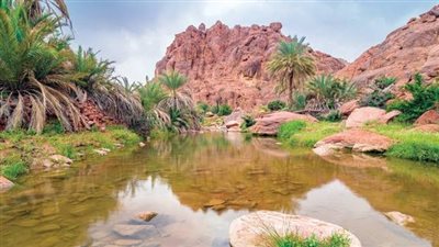 اتحاد الغرف السياحية: مشروع «التنوع البيولوجي» يطور السياحة البيئية