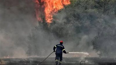 موجة حارَّة تشعل 48 حريقًا فى اليونان وإغلاق الأماكن السياحية (شاهد)