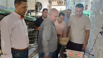 ضبط مواد غذائية وبويات منتهية الصلاحية بالبحيرة 