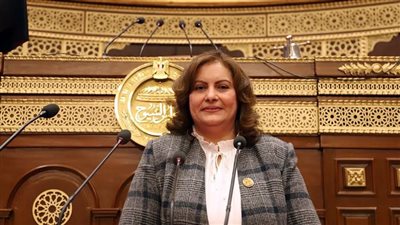 عايدة نصيف: تحقيق برنامج الحكومة الجديدة سيكون تحديًا كبيرًا