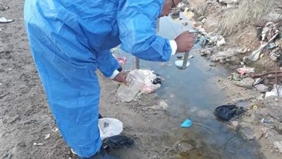 صحة الإسماعيلية تكثف أعمال مكافحة الذباب والبعوض وناقلات الأمراض 