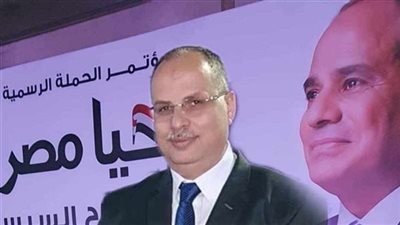 مطر: زيادة الأماكن في الجامعات للمصريين بالخارج أحد أبرز مطالبنا