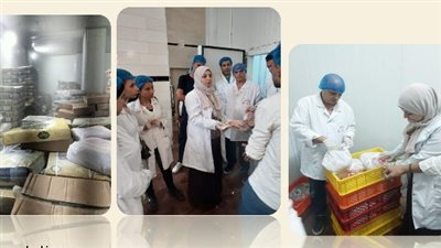 ضبط 545 كجم لحوم و دواجن مخالفة خلال حملات تفتيشية بمراكزالشرقية