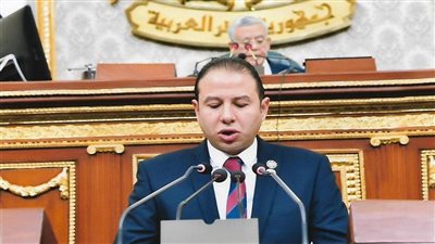 النائب حسن عمار يطالب بإعداد استراتيجية وطنية شاملة لتشجيع الاستثمار الأجنبي المباشر