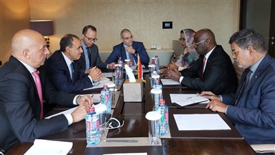 وزير الخارجية يبحث مع نظيره الموريتاني أوجه التعاون الثنائي