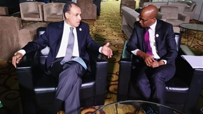 وزير الخارجية: مصر تحتل المركز الثامن بالنسبة للدول الأجنبية المستثمرة في تنزانيا