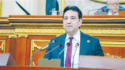 النائب أيمن محسب يطالب المجتمع الدولى بتمكين الشعب الفلسطينى من حقوقه المشروعة