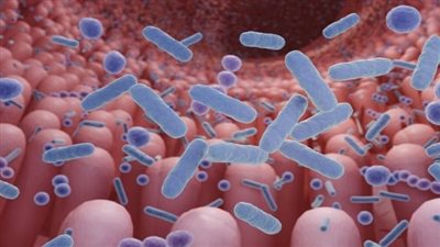 الحكومة الكندية تعلن عن تفشي داء الليستريات في البلاد