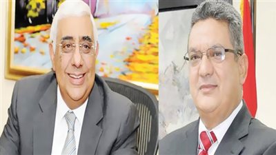 «القاضى»: منظومة مبتكرة بـ9 آليات لإنهاء الأزمة 