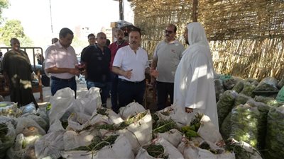 محافظ أسيوط يقود حملة لإزالة الإشغالات بشوارع مركز ديروط