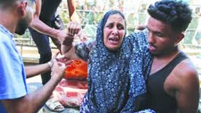 ألبانيز: يجب محاسبة 