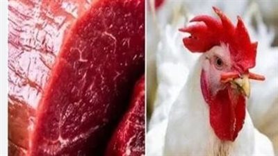 مصر تُعزّز تعاونها مع البرازيل في مجال اللحوم والدواجن