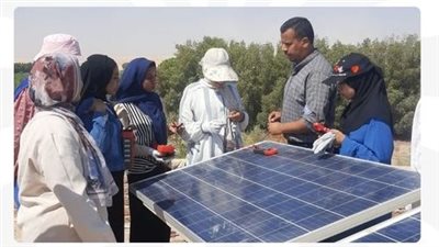 وزارة العمل تختتم برامج تدريب مهني مجانية للشباب والفتايات بالأقصر