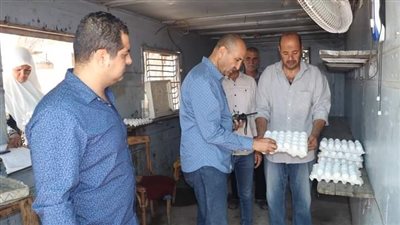 سكرتير بنى سويف يتفقد منظومة العمل بمشروعات الدواجن المركزية شرق النيل