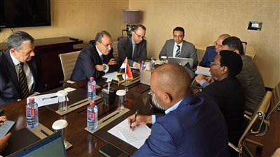 وزير الخارجية يستعرض جهود مصر في حفظ السلام والتنمية المستدامة بإفريقيا