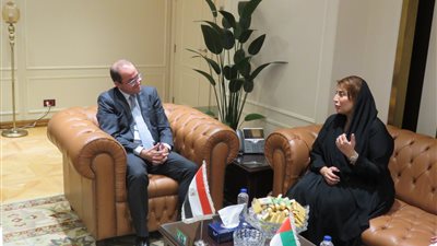 وزير المالية: تنمية الاستثمارات الإماراتية في مجالات متنوعة بمصر