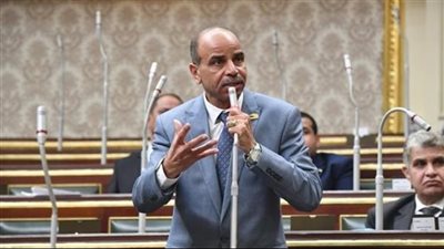برلماني: الإفراج عن دفعة من المحبوسين دليل على التزام الدولة بالحفاظ على حقوق الإنسان