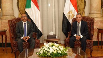 وزير الخارجية: مصر لن تألو جهداً من أجل مساعدة الأشقاء السودانيين