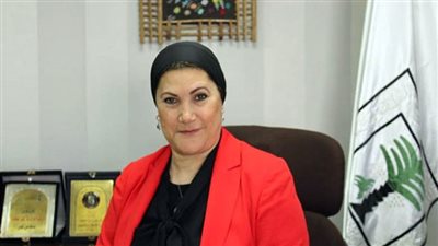 2.4 مليون مولود سنوياً في مصر و6 آلاف يوميًا و240 كل ساعة