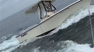 لحظات من الرعب .. حوت عملاق يهاجم قارب صيد 