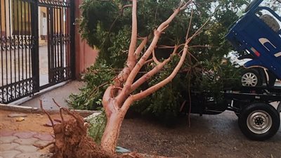 ماذا يحدث في أسوان؟.. سقوط أعمدة إنارة وأشجار ووقف الملاحة النهرية وغلق الطرق وانقطاع الكهرباء