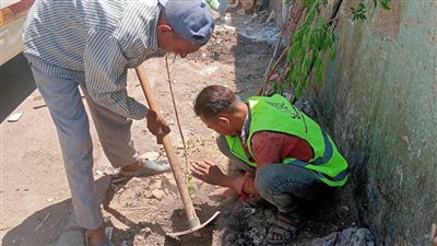 استمرار زراعة الأشجار وغلق مقالب المخلفات الصلبة بحي شرق أسيوط