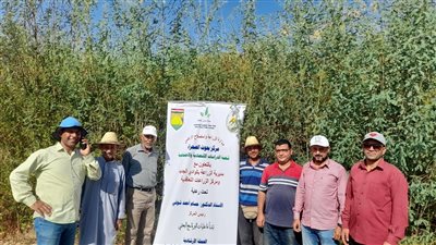  بحوث الصحراء يبدأ تنفيذ مدارس حقلية بالوادي الجديد لمواجهة فجوة المحاصيل الزيتية