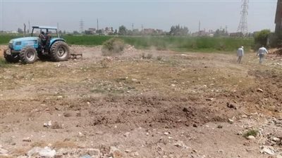 إزالة 18 حالة تعدٍ على الأراضي الزراعية بالشرقية