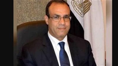 مؤتمر المصريين بالخارج فرصة لتلاقي الطيور المهاجرة وعرض مشاكلهم ومعرفة الفرص الاستثمارية  