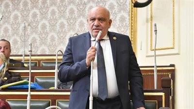 النائب سيد حنفي يثمن الرفض الحاسم من الأزهر والأوقاف للإساءة لمقام السيد المسيح