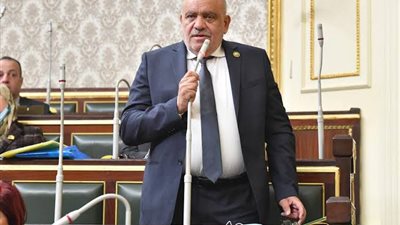 النائب سيد حنفي: اعتراف الحكومة بوجود أزمة في الدواء بداية جادة لحلها