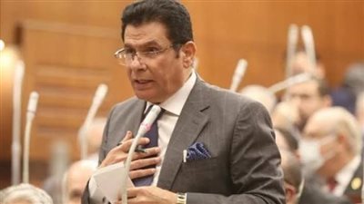 برلماني: جذب الاستثمارات الأجنبية أفضل الطرق لمواجهة التحديات الاقتصادية