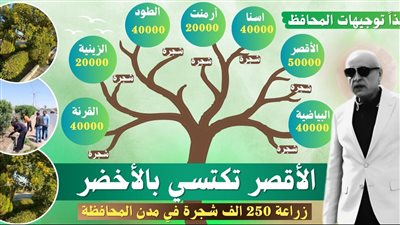 زراعة 250 ألف شجرة بمدن الأقصر وتحذير من قطع الأشجار