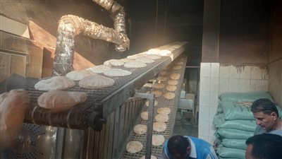 تحرير 11 محضرًا لمخالفات تموينية بالرياض في كفر الشيخ 