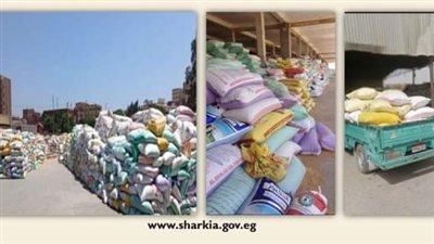 المواقع التخزينية بالشرقية تستقبل 617 ألف طن من الذهب الأصفر