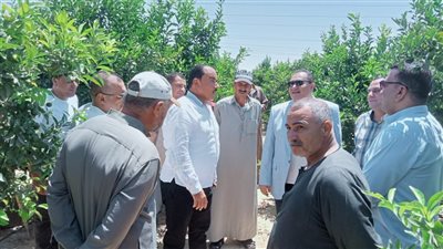 مرور دائم على مواقع الانتاج والحقول.. رئيس قطاع استصلاح الأراضي يتابع اعمال الجمعيات والمزارع 