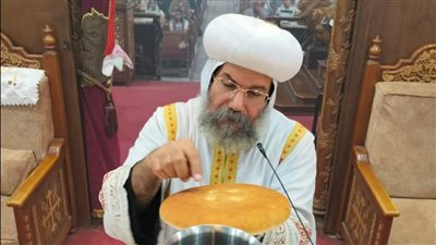 الأنبا صليب يشهد الأنشطة الروحية للأقباط بميت غمر.. شاهد