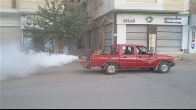 صحة الشرقية: مكافحة الذباب والبعوض وناقلات الأمراض 