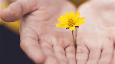 العالمي للفتوى الإلكترونية: الاعتذار يحفظ الود ويمنع القطيعة 