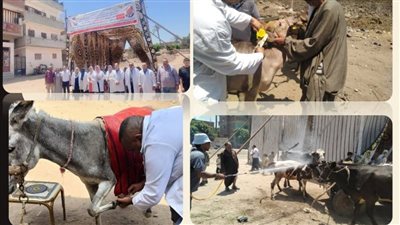 بيطري الشرقية يُنظم قافلة بيطرية علاجية مجانية بقرية فرسيس 