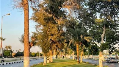 ارتفاع نسبة الرطوبة وتراجع درجة الحرارة  بالإسماعيلية 