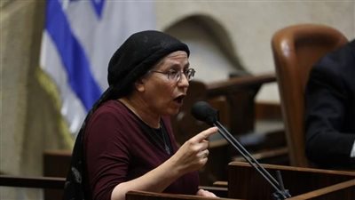 وزيرة الاستيطان الإسرائيلية: من الأفضل ألا تصبح كامالا هاريس رئيسة للولايات المتحدة 